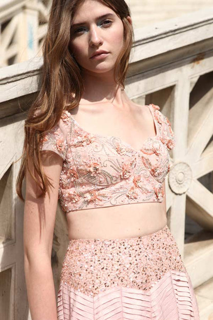 Peach Embroidered Blouse with Net Skirt (R0461)