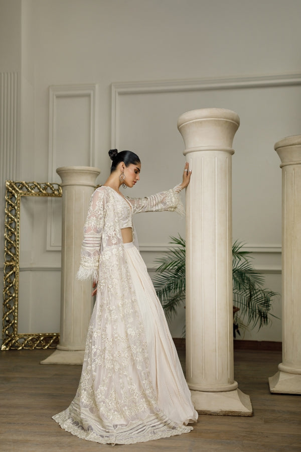 Net Embroidered Jacket with skirt