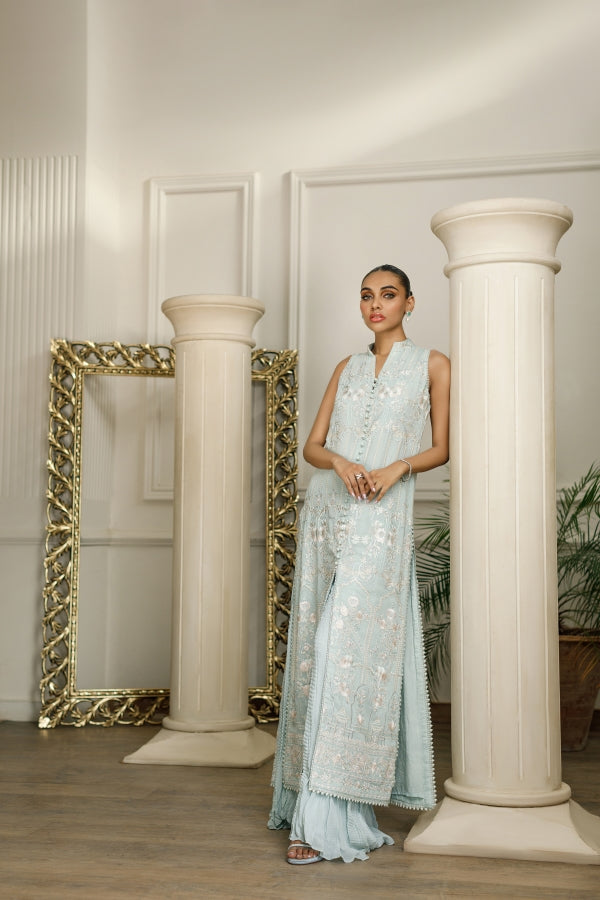 Chiffon Embroidered Dress