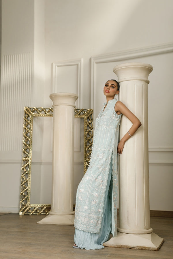 Chiffon Embroidered Dress