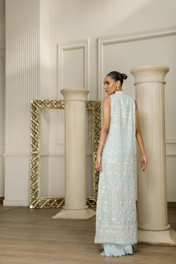 Chiffon Embroidered Dress