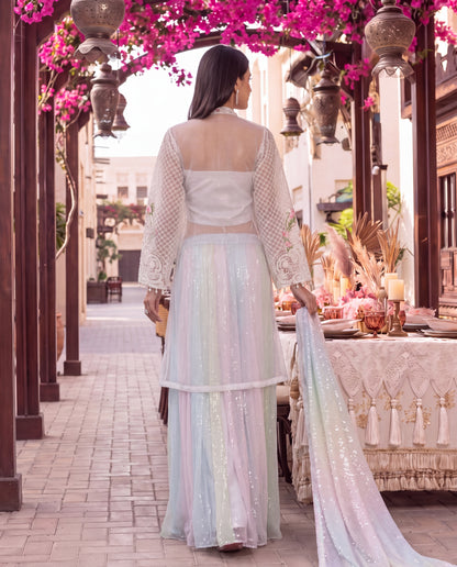 Blush Garden Embroidered Ensemble