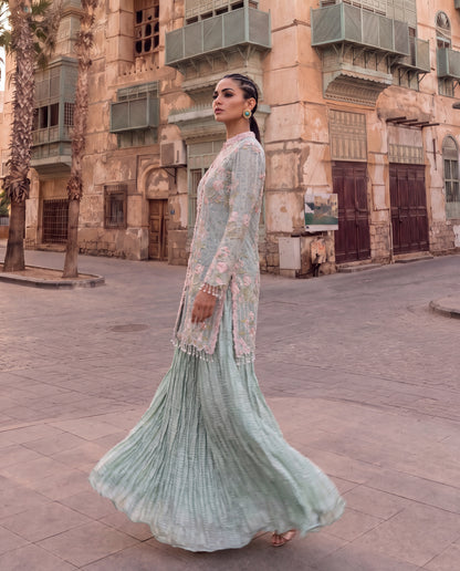 Powder Blue Embroidered Jacket with Crushed Georgette Skirt-(CG-9)