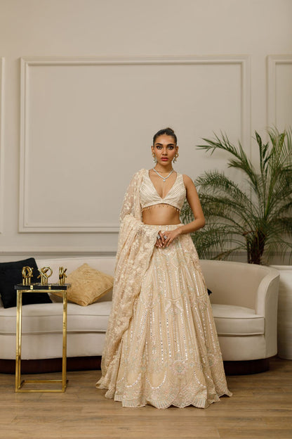 Ghagra and choli and dupatta set- (8424)