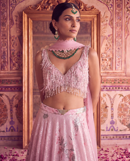 Pink Floral Sequinned Ghagra Set with Tasseled Choli Set-(PTDS-3600)