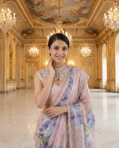 A sequinned sari-(CGL-4500)