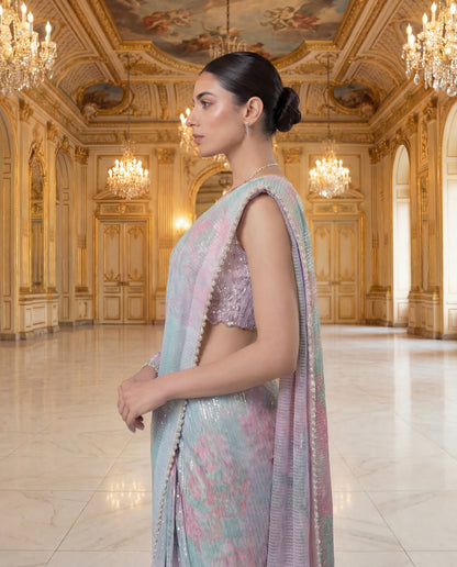 A sequinned sari-(SQ-06210)