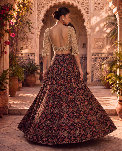 Hand-Embroidered Net Blouse with Beaded Tassels & Patola Ghagra-(SR-9)