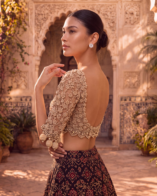 Hand-Embroidered Net Blouse with Beaded Tassels & Patola Ghagra-(SR-9)