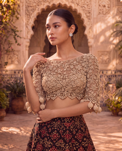 Hand-Embroidered Net Blouse with Beaded Tassels & Patola Ghagra-(SR-9)