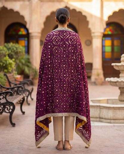 A dupatta- (PD-513)
