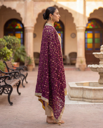 A dupatta- (PD-513)