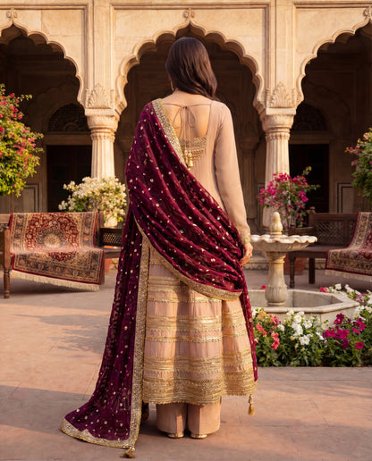 A dupatta- (PD-513)