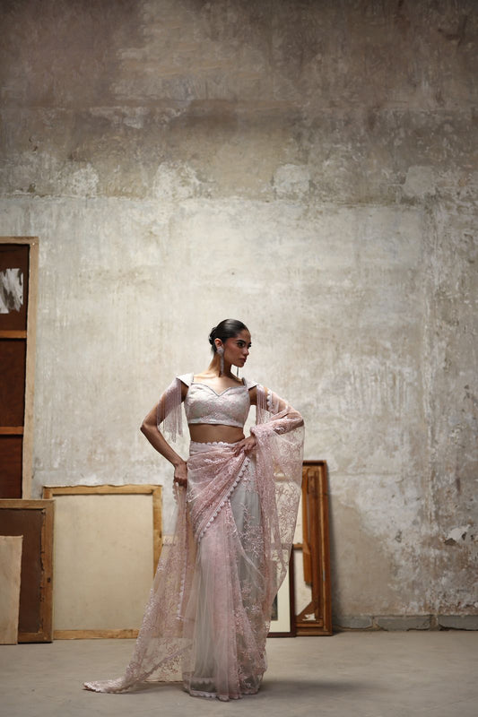 Embroidered sari and blouse- (9764)