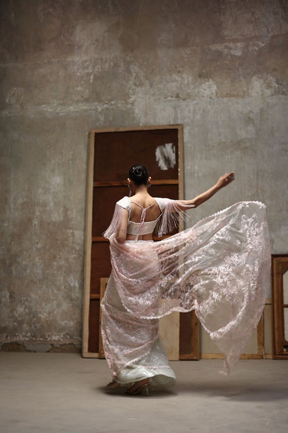 Embroidered sari and blouse- (9764)