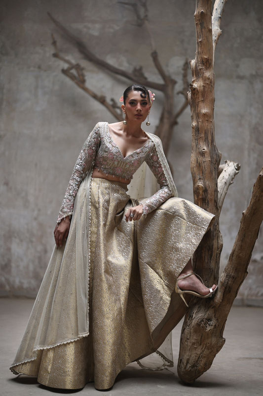 A ghagra and choli- (9124.3)