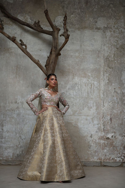 A ghagra and choli- (9124.3)