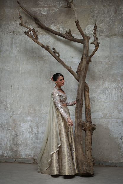 A ghagra and choli- (9124.3)