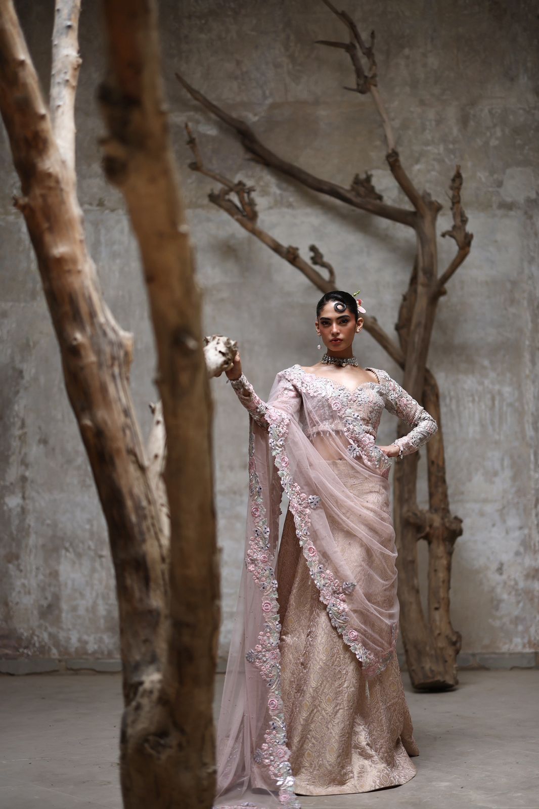 Embroidered Choli and ghagra- (9124.4)