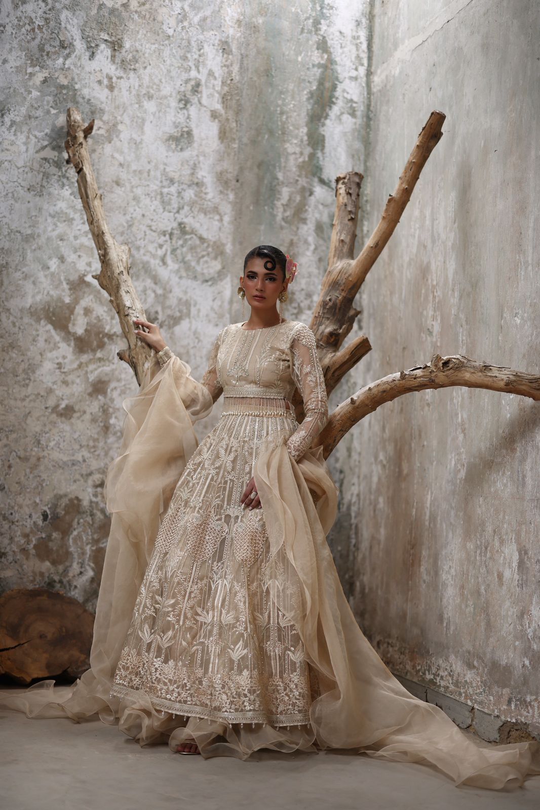 Embroidered Choli and ghagra- (9640.1)