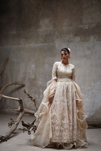 Embroidered Choli and ghagra- (9640.1)