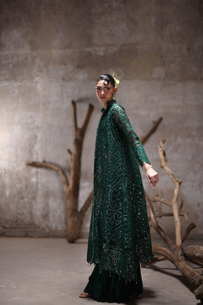 Organza jacket with crushed Pallazos- (9515.2)