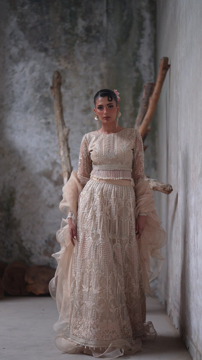 Embroidered Choli and ghagra- (9640.1)