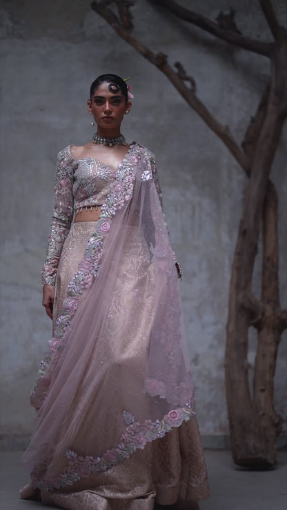 Embroidered Choli and ghagra- (9124.4)