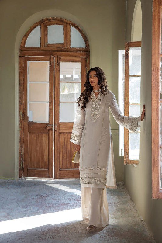 Embroidered Cotton Net Tunic (OA-7779)