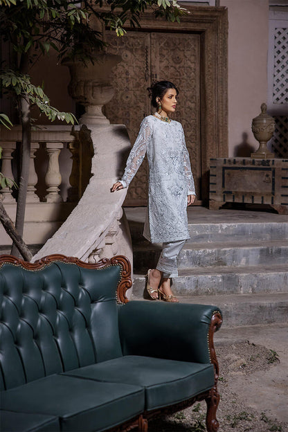 Powder Blue Embroidered Tunic (OA-7818)