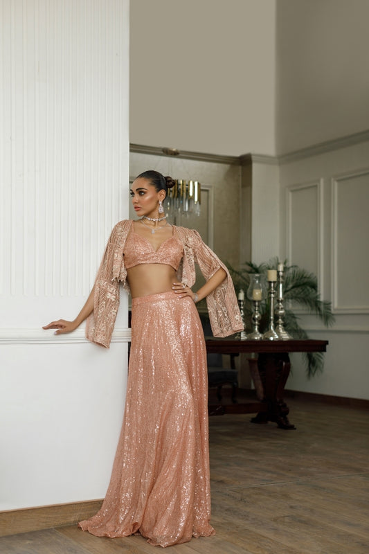 Net Embroidered Jacket with skirt
